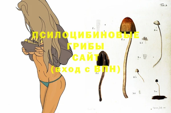 прущие грибы Алексеевка