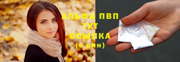 крисы Алексин