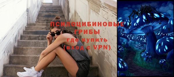 амф Алзамай