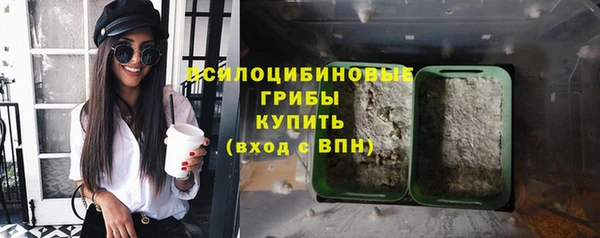 крисы Алексин