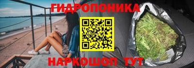 шишки Гусь-Хрустальный
