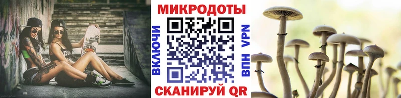 закладка  Феодосия  mega маркетплейс  Псилоцибиновые грибы Cubensis 